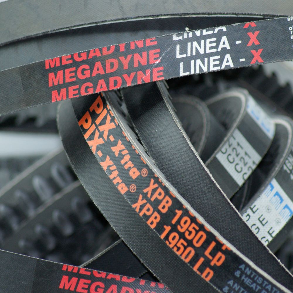 XPB1750 Raw Edge Cogged Pitch Length 1750mm Inside Length 1690mm