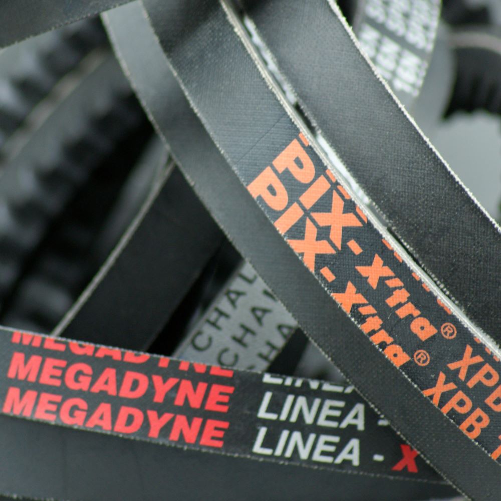 XPB2990 Raw Edge Cogged Pitch Length 2990mm Inside Length 2930mm